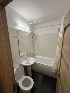 Apartament 1 cameră | Tătărași - Grădinari | electrocasnice noi - 350â‚¬ - foto 7
