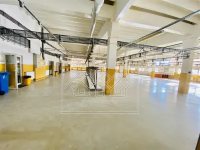 Spatiu industrial si de birouri in zona Terezian - finisaje moderne - foto 2