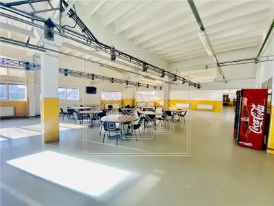 Spatiu industrial si de birouri in zona Terezian - finisaje moderne - foto 15