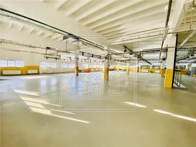 Spatiu industrial si de birouri in zona Terezian - finisaje moderne - foto 17