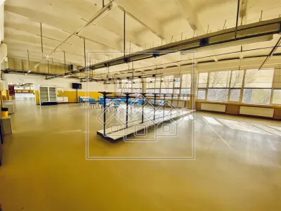 Spatiu industrial si de birouri in zona Terezian - finisaje moderne - foto 3