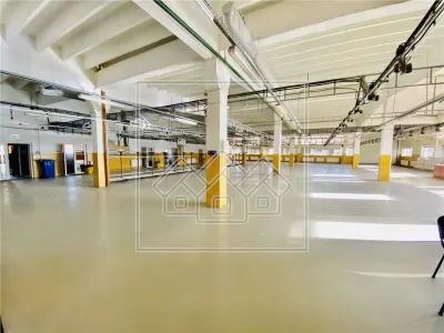 Spatiu industrial si de birouri in zona Terezian - finisaje moderne - foto 9