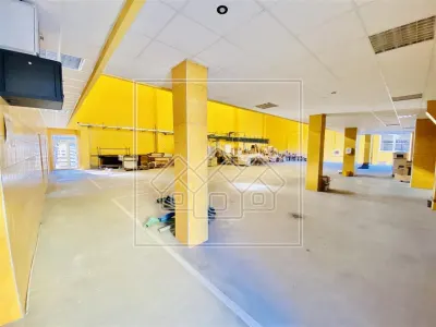 Spatiu industrial si de birouri in zona Terezian - finisaje moderne - foto 2