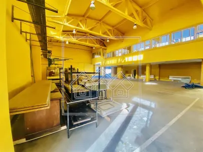 Spatiu industrial si de birouri in zona Terezian - finisaje moderne - foto 4