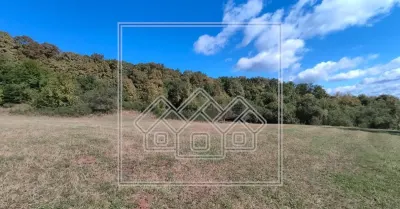 Teren in zona Bradu - priveliste deosebita - pretabil investitie - foto 3