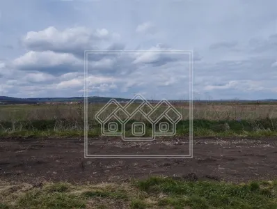 Teren extravilan in Sura Mica, 9300 mp - Zona industriala - foto 2