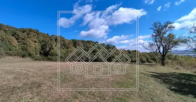 Teren intravilan cu priveliste deosebita - pretabil investitie - Bradu - foto 11
