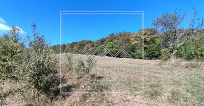 Teren intravilan cu priveliste deosebita - pretabil investitie - Bradu - foto 5