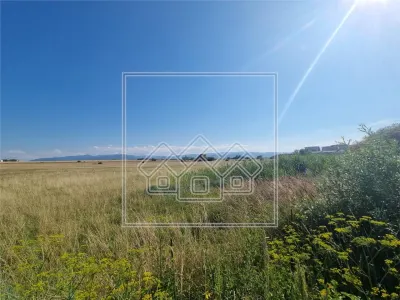 Teren intravilan de 10.000 mp, Calea Surii Mici - foto 5