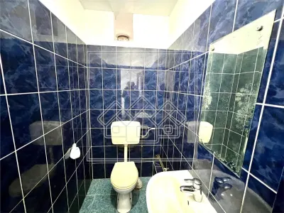 Spatiu comercial de vanzare Sibiu - 420 mp, parcare - zona Selgros - foto 8