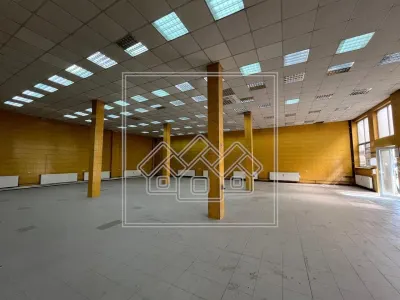 Spatiu industrial si birouri in zona Terezian - finisaje moderne - foto 3