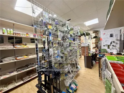 Spatiu comercial - vad, 2 camere si dependinte - zona Centrala - foto 6
