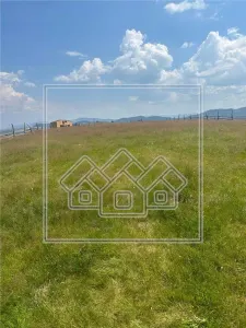 Teren intravilan - 1530 mp, PUZ - Paltinis, Sibiu - Paltinis