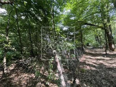 Teren in Cisnadie - 1.500 mp, inainte de Tocile, acces la drum, investitie - foto 5