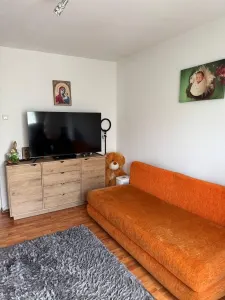 Apartament 2 camere mobilat  Central - foto 4