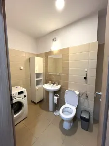 Apartament 2 camere decomandat  ,parcare, Alphaville- Carpatilor - foto 7