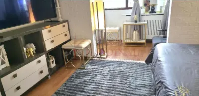 Apartament 2 camere, 2 balcoane , mobilat, zona Astra - foto 5