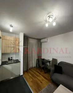 Apartament 2 camere studio, mobilat , utilat , parcare ,etaj intermediar, Maurer- Tractorul - foto 2
