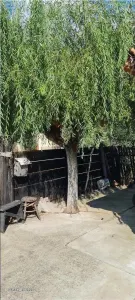 CASA PE COLT IN SIRIA CU TEREN MARE - foto 8