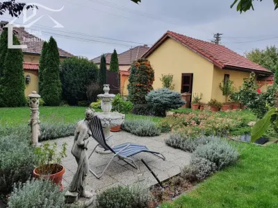 CASA DE INCHIRIAT ARADUL NOU - foto 1