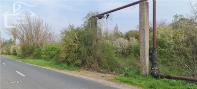 TEREN INTRAVILAN DOROBANTI - foto 5