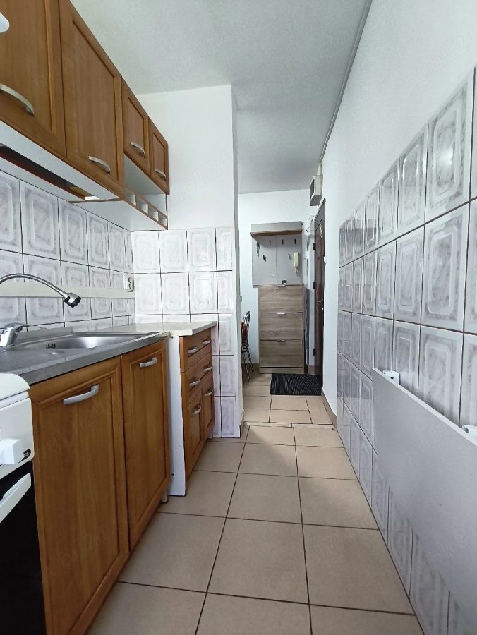 Mobilat si utilat la etajul 2 linga parcul Padurice - Timisoara