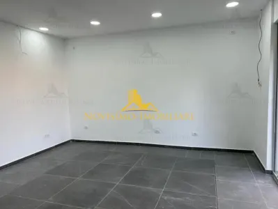 NOVISIMO-IMOBILIARE: SPATIU COMERCIAL DE INCHIRIAT IN ZONA VEST - foto 2