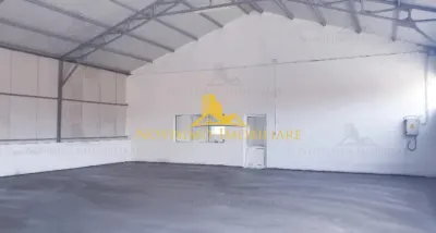 NOVISIMO-IMOBILIARE: HALA - foto 3