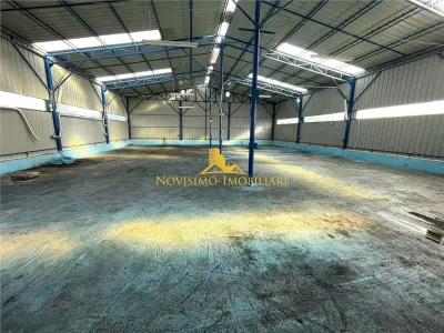 NOVISIMO-IMOBILIARE: HALA DE INCHIRIAT IN ZONA BLEJOI - foto 2