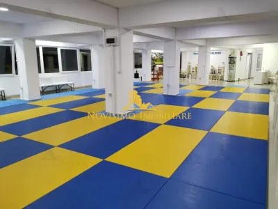 NOVISIMO-IMOBILIARE: SPATII BIROURI DE INCHIRIAT, ZONA ULTRACENTRAL - foto 1
