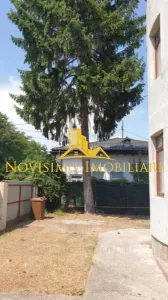 NOVISIMO-IMOBILIARE: VILA DE INCHIRIAT IN ZONA CANTACUZINO - foto 3