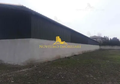 NOVISIMO-IMOBILIARE: HALA INDUSTRIALA DE INCHIRIAT - foto 2