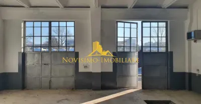 NOVISIMO-IMOBILIARE: SPATIU PRETABIL PENTRU SERVICE - foto 3