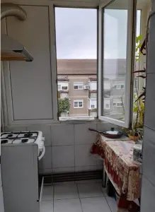 3 camere decomandat zona Lipovei - foto 4