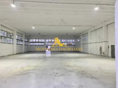NOVISIMO-IMOBILIARE: HALA DE INCHIRIAT - foto 1