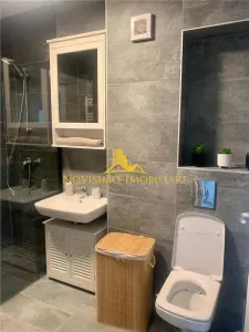 NOVISIMO-IMOBILIARE: APARTAMENT CU 2 CAM. DE INCHIRIAT IN ALBERT - foto 9