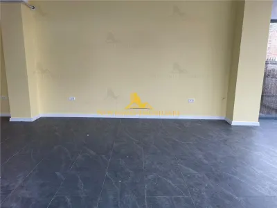 NOVISIMO-IMOBILIARE: SPATIU COMERCIAL DE INCHIRIAT, CANTACUZINO - foto 2