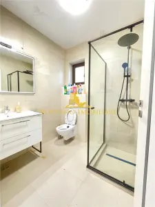 NOVISIMO-IMOBILIARE: VILA P+1, IN PAULESTI - foto 20