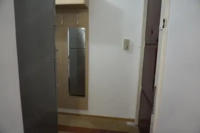 Apartament cu 3 camere linga Spitalul Judetean - foto 2