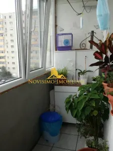 NOVISIMO-IMOBILIARE: APARTAMENT CU 3 CAMERE IN ZONA VEST - foto 5