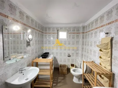 NOVISIMO-IMOBILIARE: DUPLEX DE INCHIRIAT IN ZONA ALBERT - foto 21