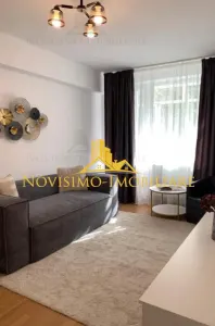 NOVISIMO-IMOBILIARE: AP. DE INCHIRIAT CU DOUA CAM. ULTRACENTRAL - foto 4