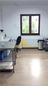NOVISIMO-IMOBILIARE : VILA DE INCHIRIAT , ULTRACENTRAL - foto 15