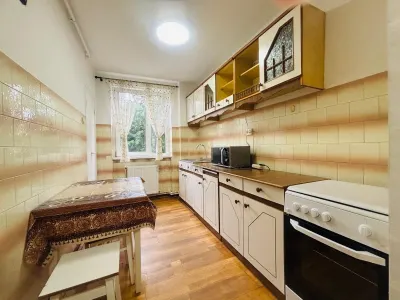 Apartament cu 2 camere de inchiriat ultracentral zona Bizo - foto 7