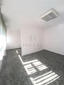 Spatiu birouri open - space - Elisabetin - Balcescu - foto 3