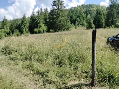 Teren de vanzare pt cabana pe Valea Ilvei - foto 13