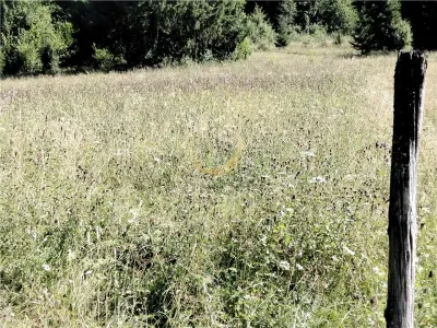 Teren de vanzare pt cabana pe Valea Ilvei - foto 14