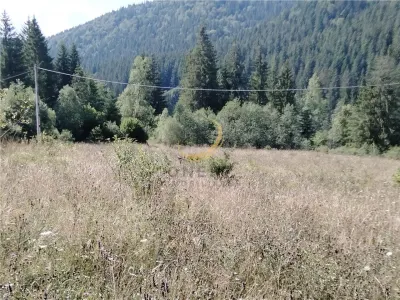 Teren de vanzare pt cabana pe Valea Ilvei - foto 19
