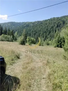 Teren de vanzare pt cabana pe Valea Ilvei - foto 3