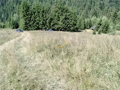 Teren de vanzare pt cabana pe Valea Ilvei - foto 23